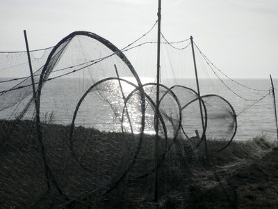 Fishing net dry nets coast photo