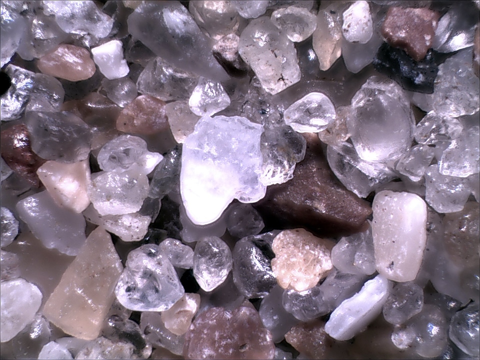 Microphotograph canterberry beach
