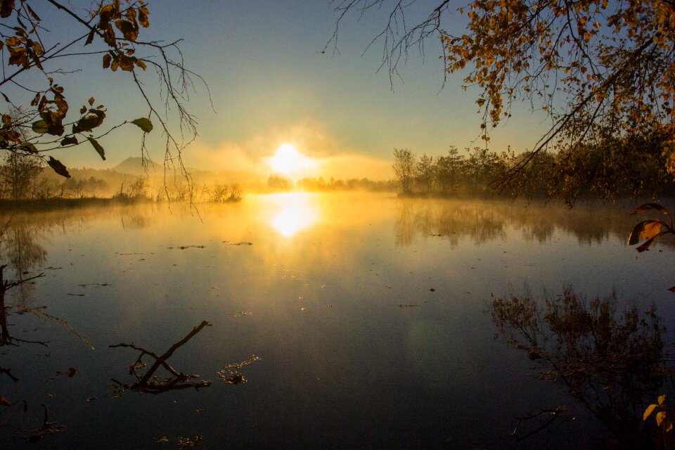Fog landscape wetland