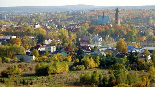 Autumn tree buildings
