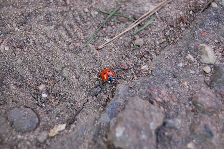 Small nature