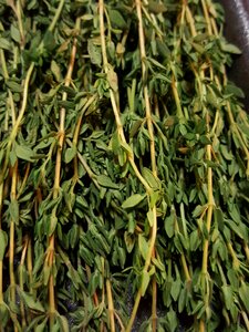 Cooking fresh ingredient