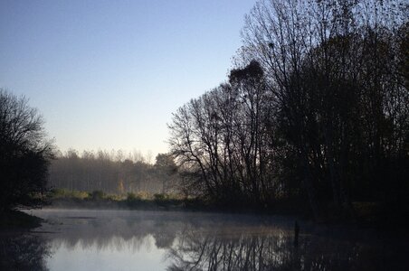 Water trees nature