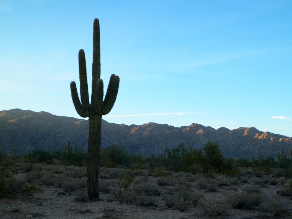 Western nature desert landscape