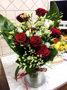 Love beauty red rose