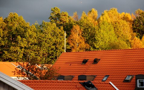 Rooftops himmel autumn photo