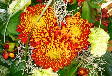 Autumn bouquet nature garden