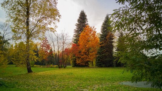 October nature landscape