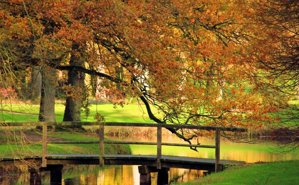 Bridge autumn landscape