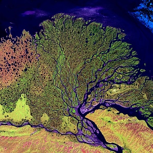 Lena river current