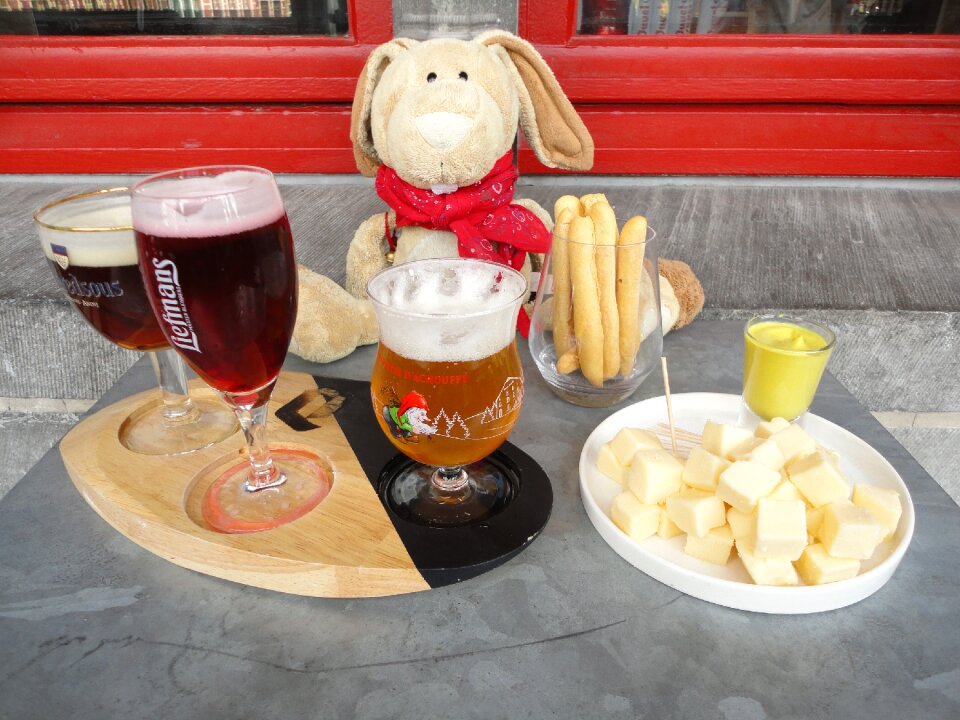 Belgium bruges hase pauli