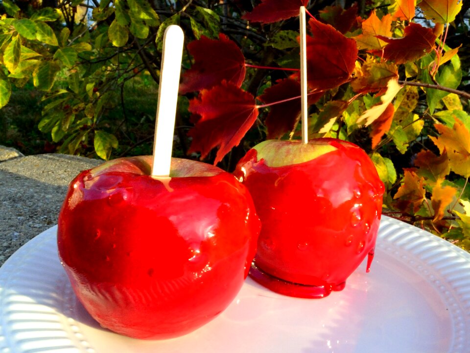 Fall festival red