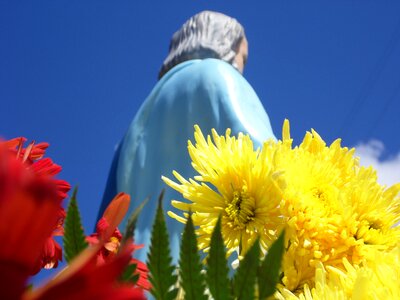 São pedro cabrália faith