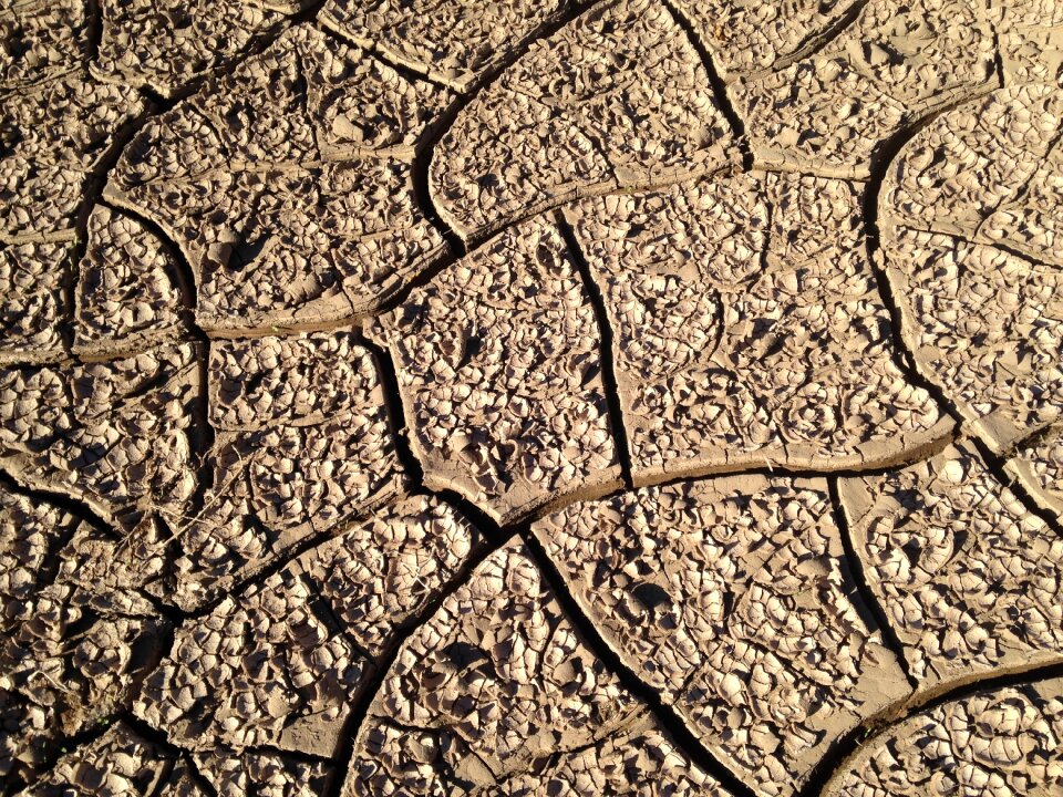 Aridity quartered soil