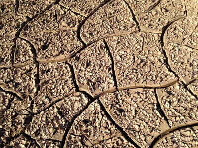 Aridity quartered soil