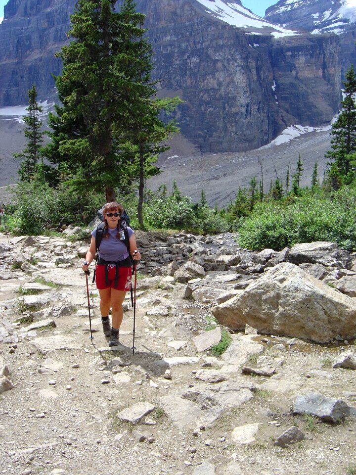 Canadian rockies bow glacier