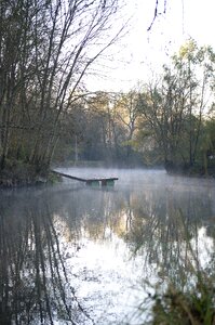 Water trees nature photo