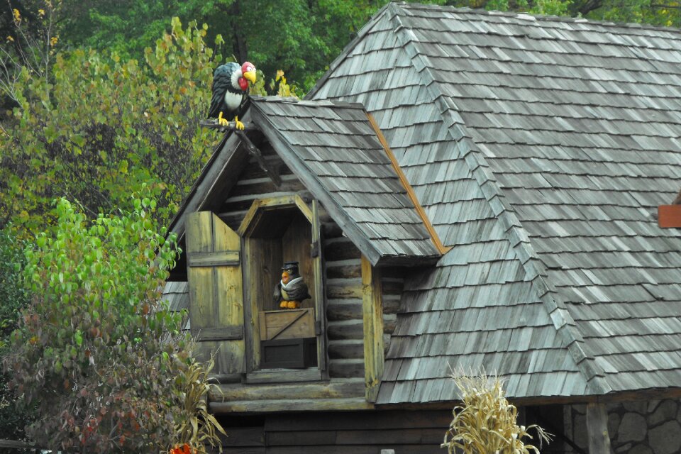 Wooden cottage old