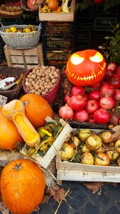 Pumpkin market pumpkins