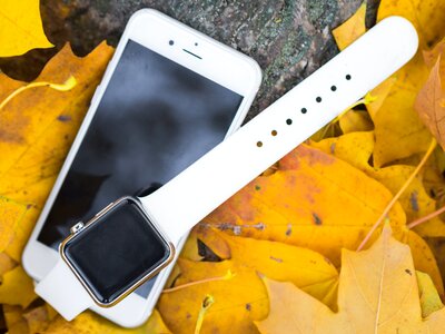 Smartwatch smart watch