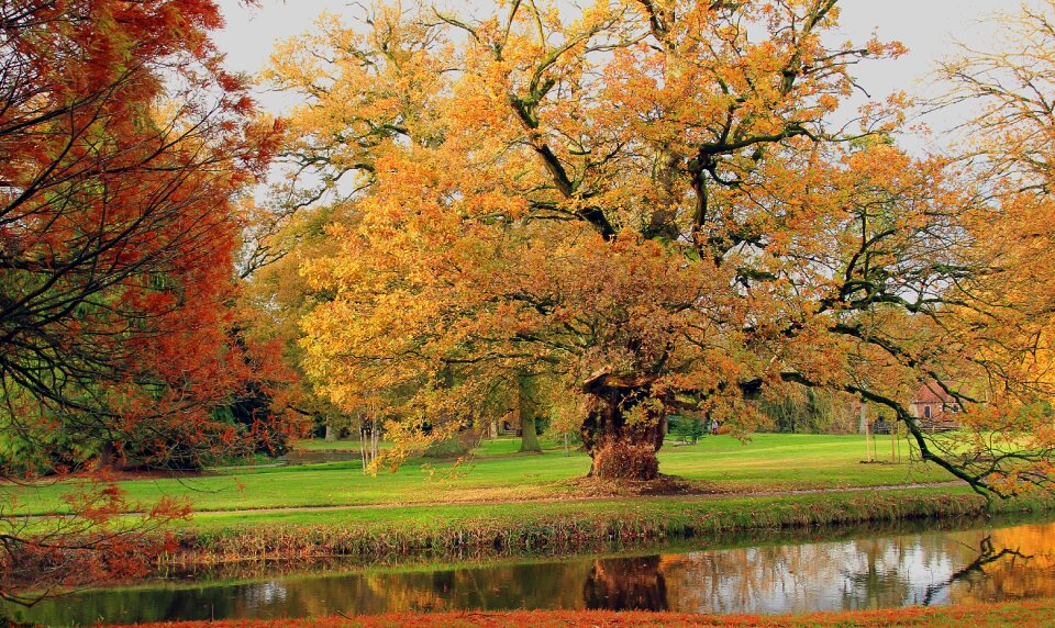 Nature autumn landscape photo