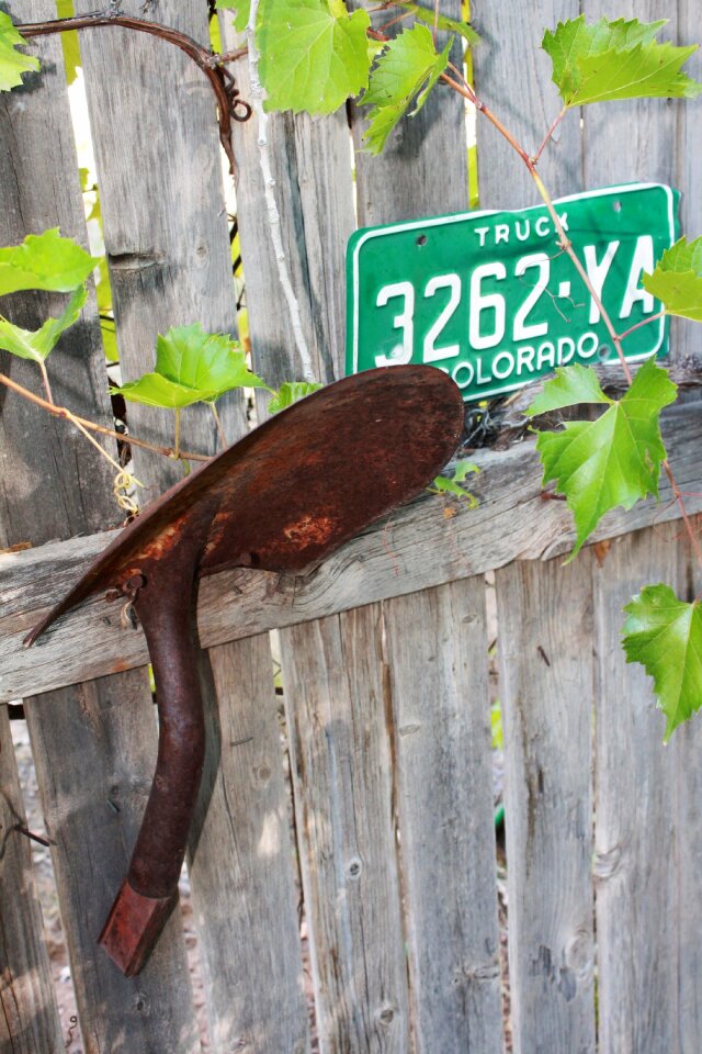 Yard art outdoor art vine