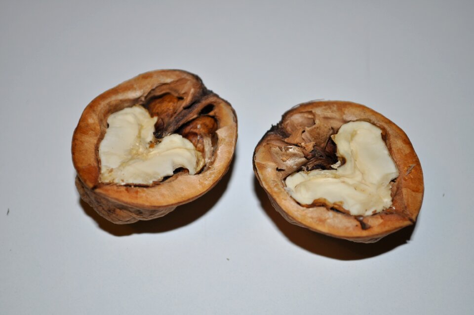 Nuts fruit fall