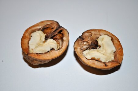 Nuts fruit fall