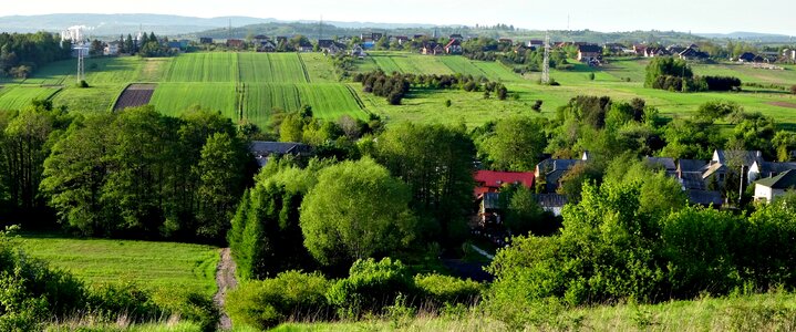 Nature spring green