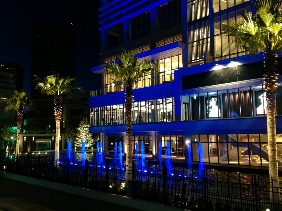 Blue tropical osaka