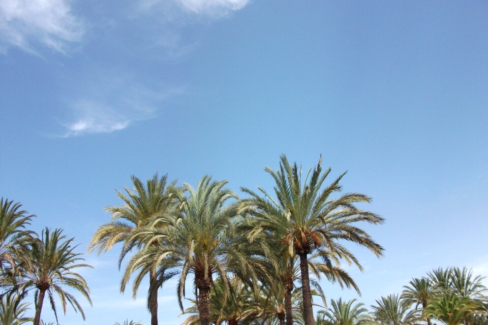 Vacations nature sky