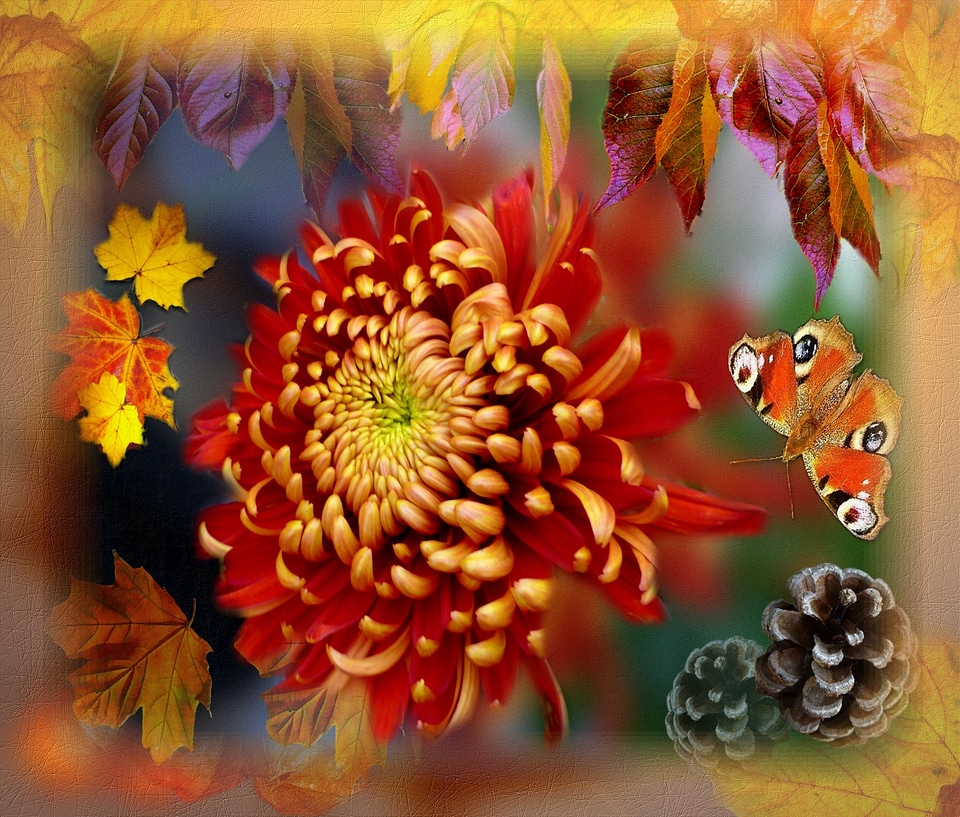Floral autumn plant