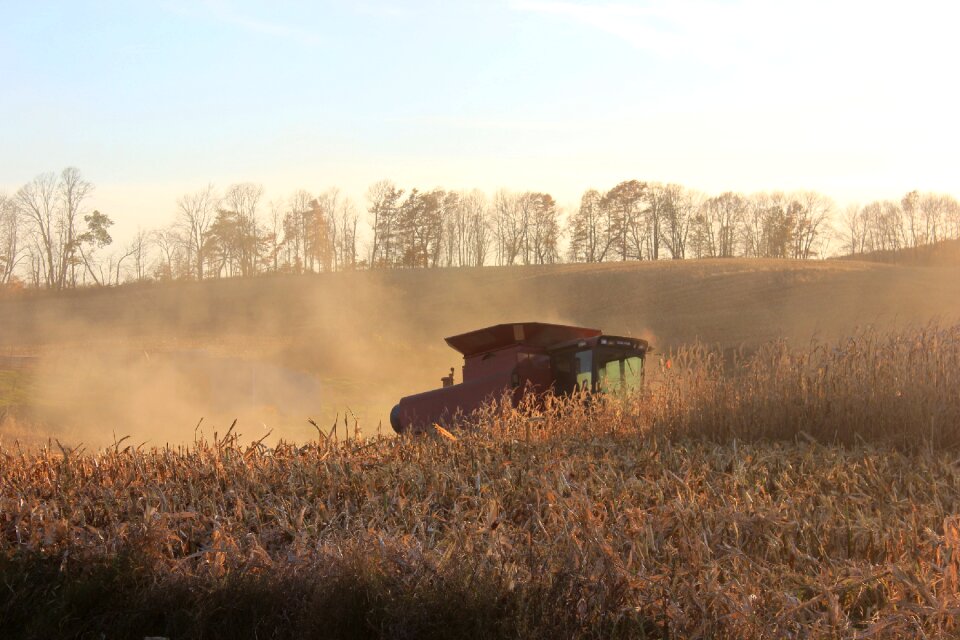 Autumn agriculture