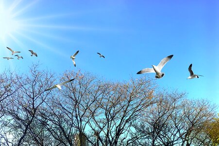 Nature blue sky park