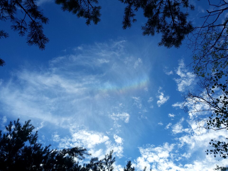 Summer nature sky