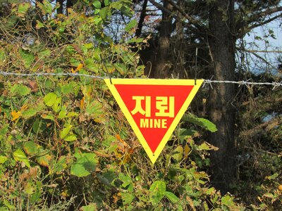 Risk small global war