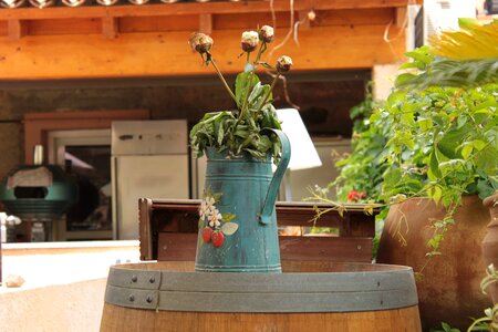 Dry vase arrangement photo