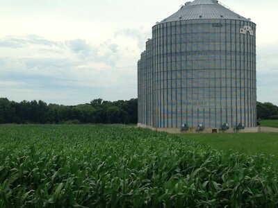 Grain agriculture farming