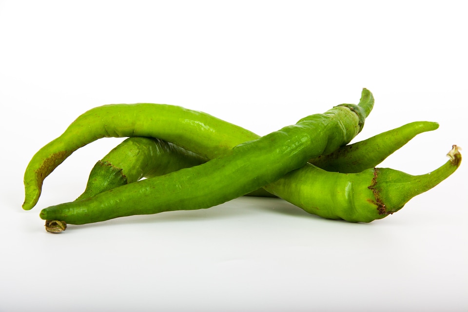 Green healthy isolated