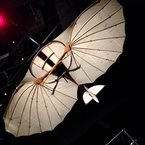 Sky museum wings