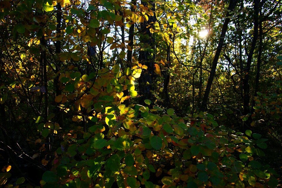 Trail silence relaxation