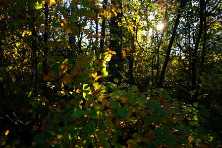 Trail silence relaxation