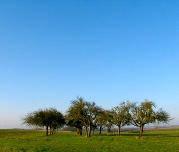 Grass landscape nature