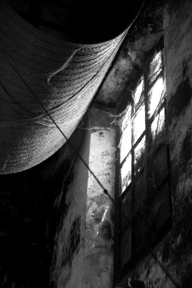 Winery blind esparto