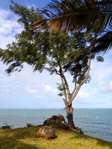 Vacations wave nature
