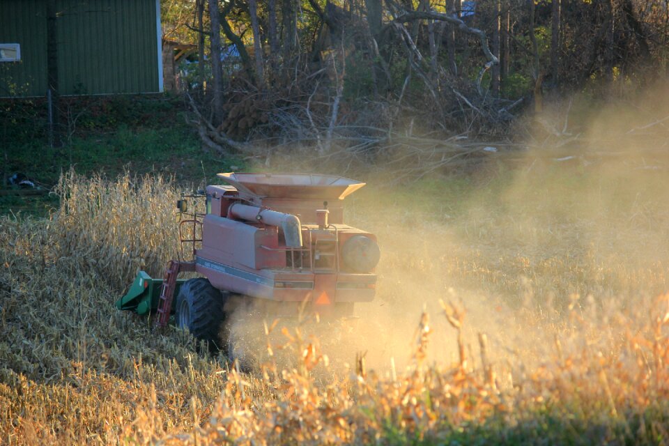Harvest autumn farming