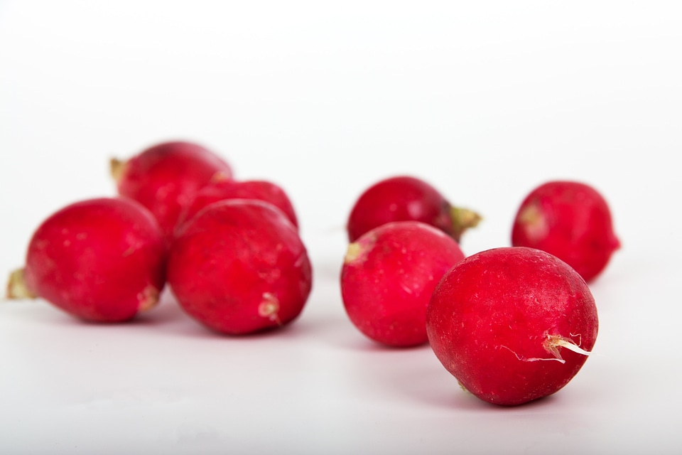 Healthy isolated nutrition