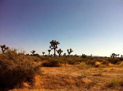 Landscape dry desert landscape photo