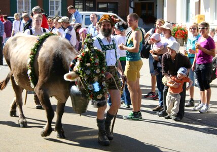 Tradition customs brown swiss photo