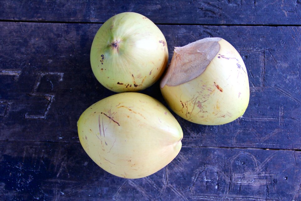 Coconut tree tropical coco de mer